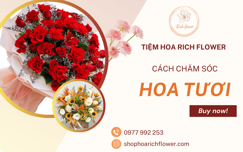hoa tươi