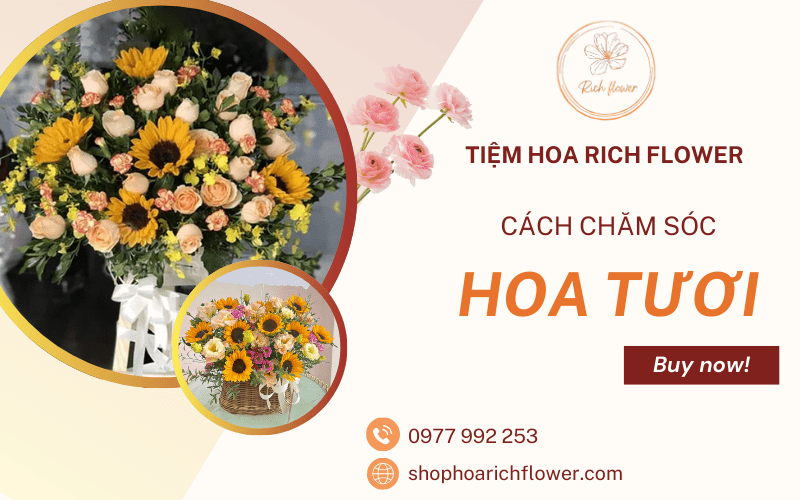 hoa tươi