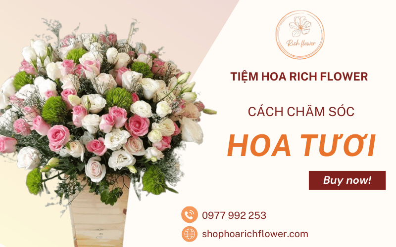 hoa tươi