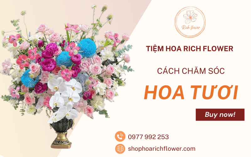 hoa tươi