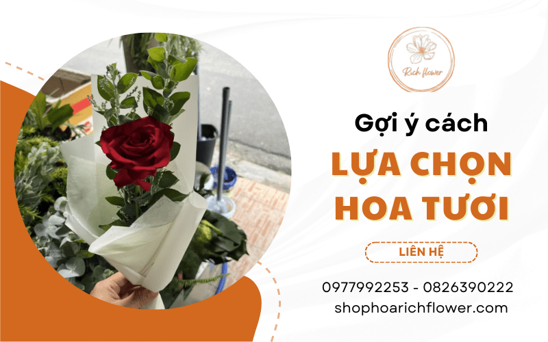 cách chọn hoa tươi