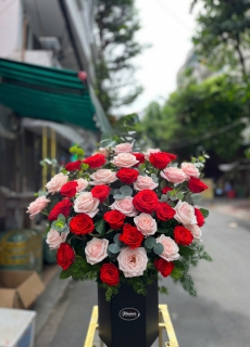 Hoa Hồng 