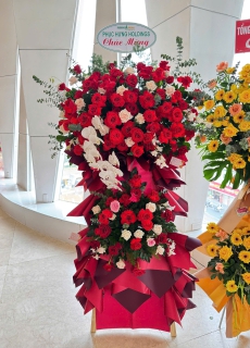 Hoa Khai Trương 15