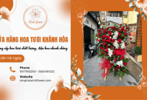 Cửa hàng hoa tươi Khánh Hòa cung cấp hoa chất lượng, điện hoa nhanh 
